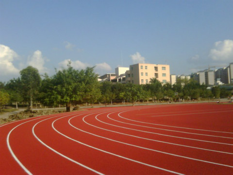黃陂區塑膠跑道廠家