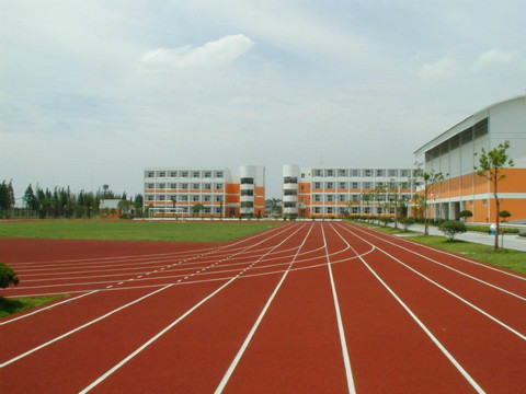 通州區塑膠跑道廠家
